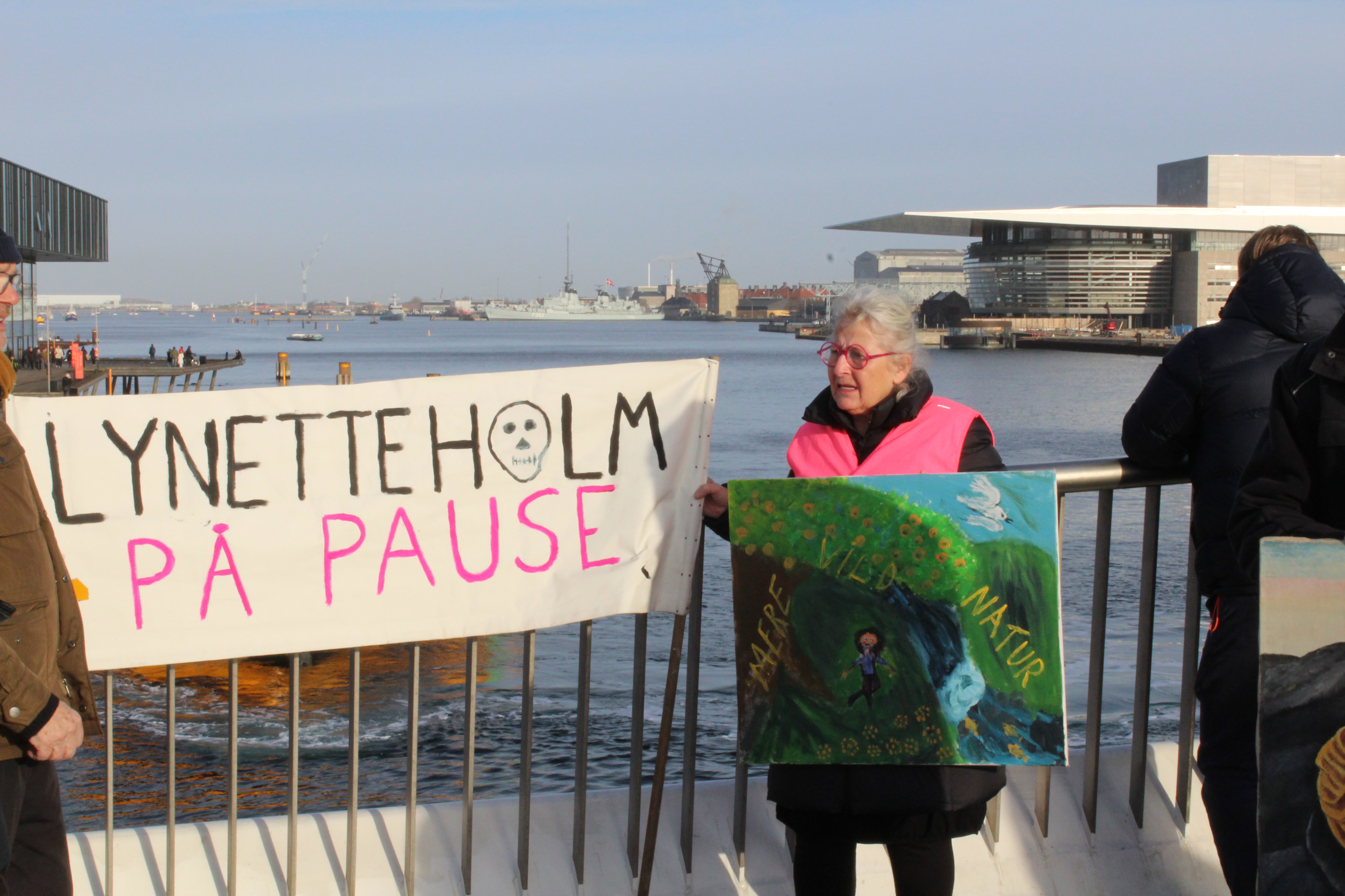 Ny appel om at sætte Lynetteholm på pause