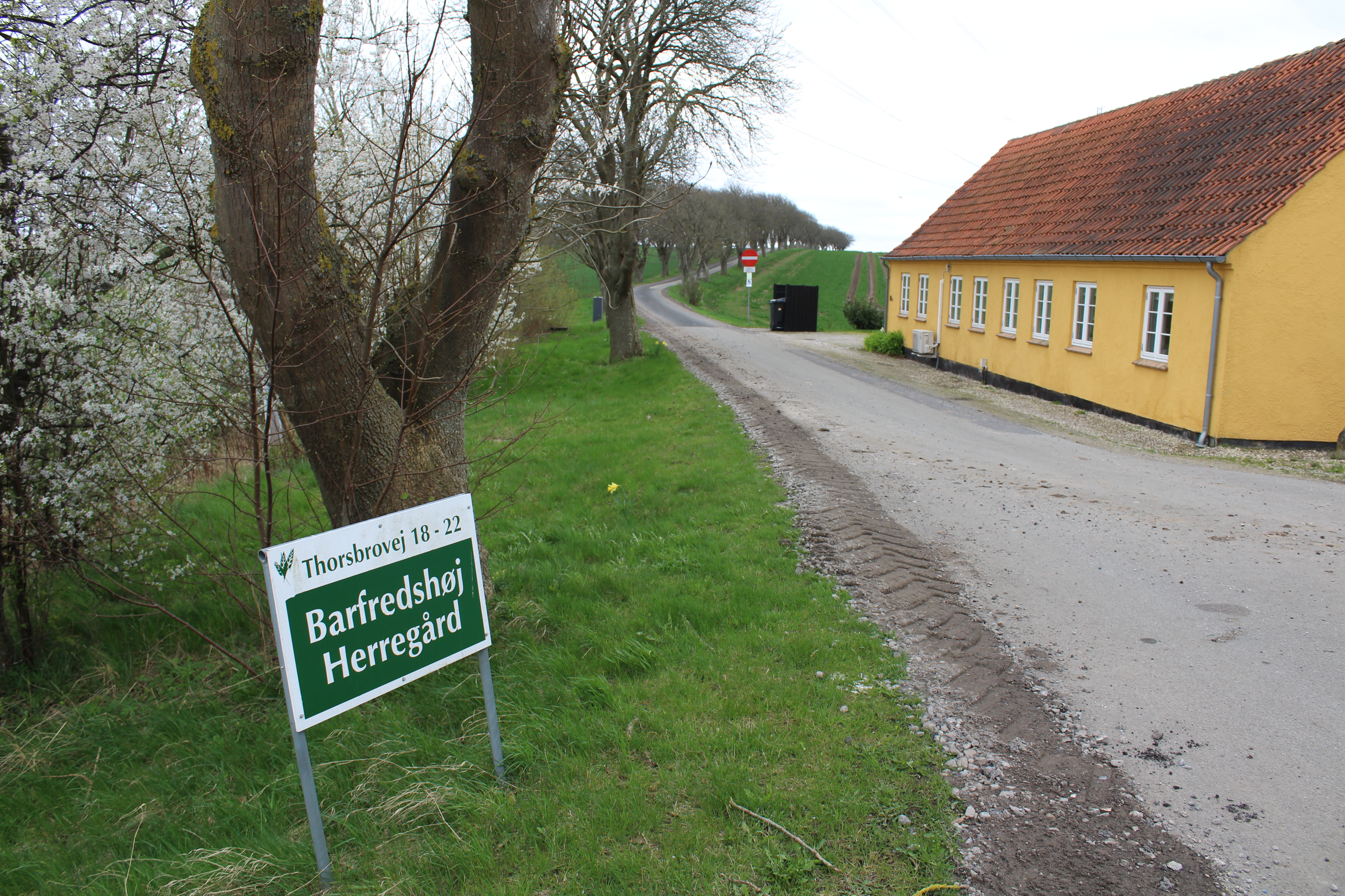Transportkorridor som naturkorridor