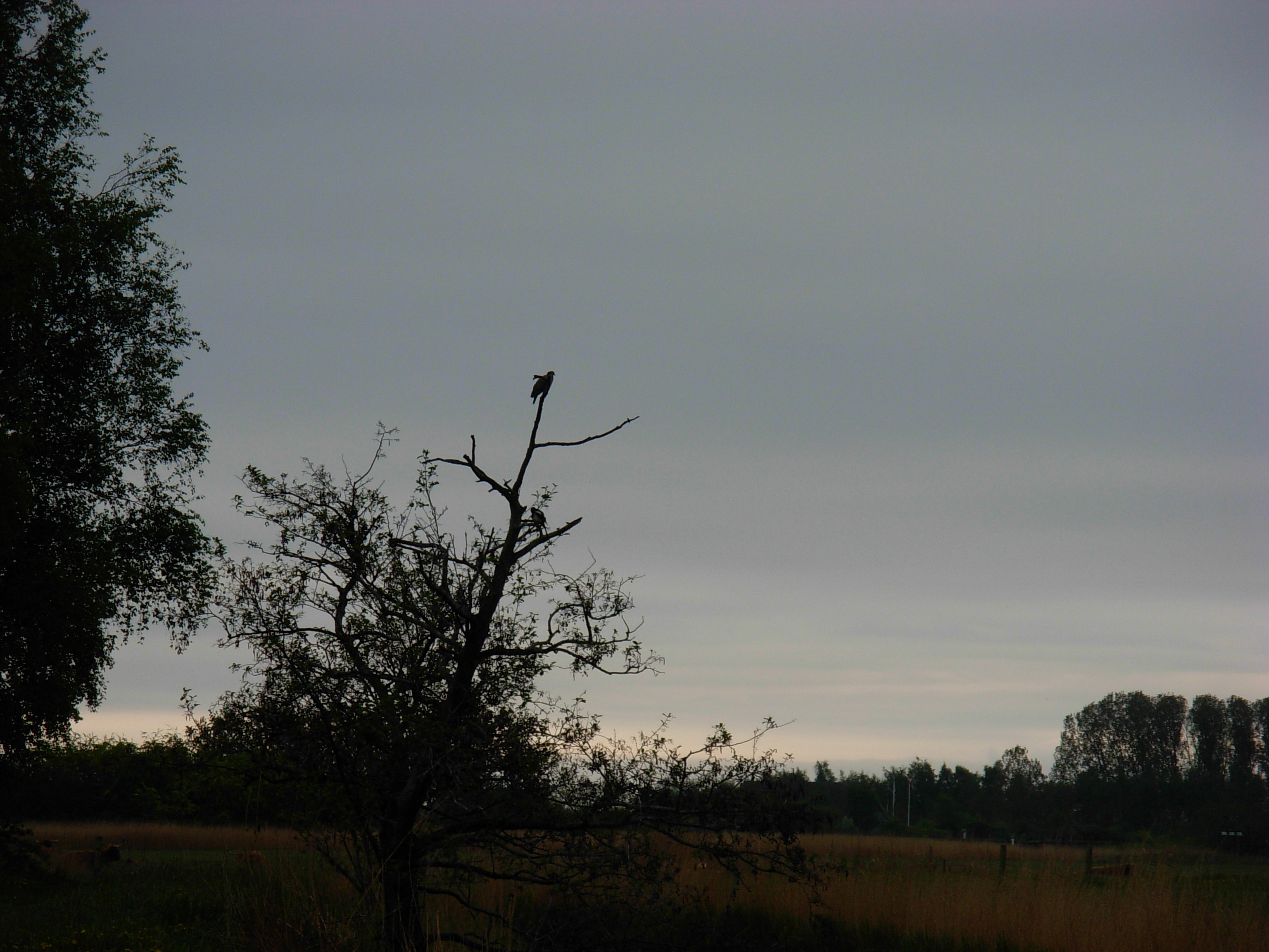 DSCN5097.JPG
